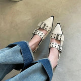 Cinessd Pointy Mary Jane Shoes for Women 2023 Summer Model with Skirt Small Leather Shoes Retro Chunky Single Shoes for Women