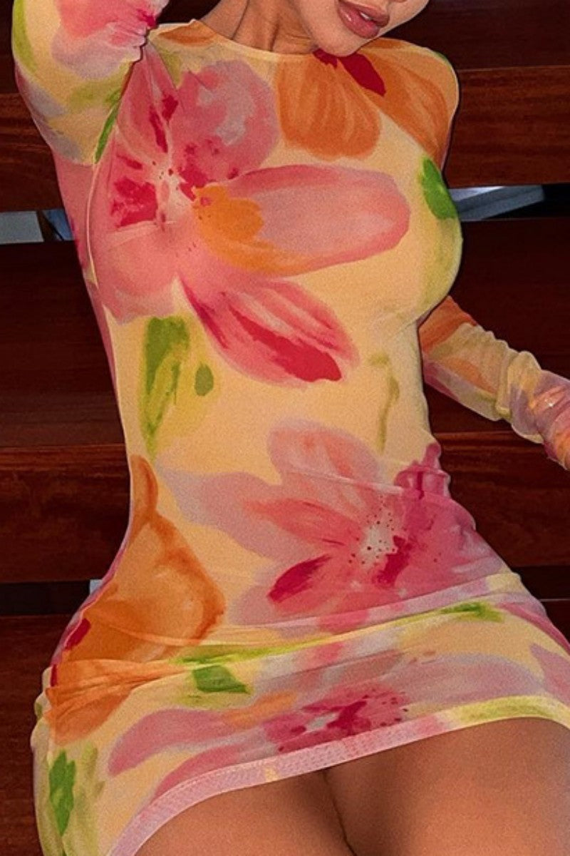 Cinessd Multicolor Casual Print Basic O Neck Long Sleeve Dresses