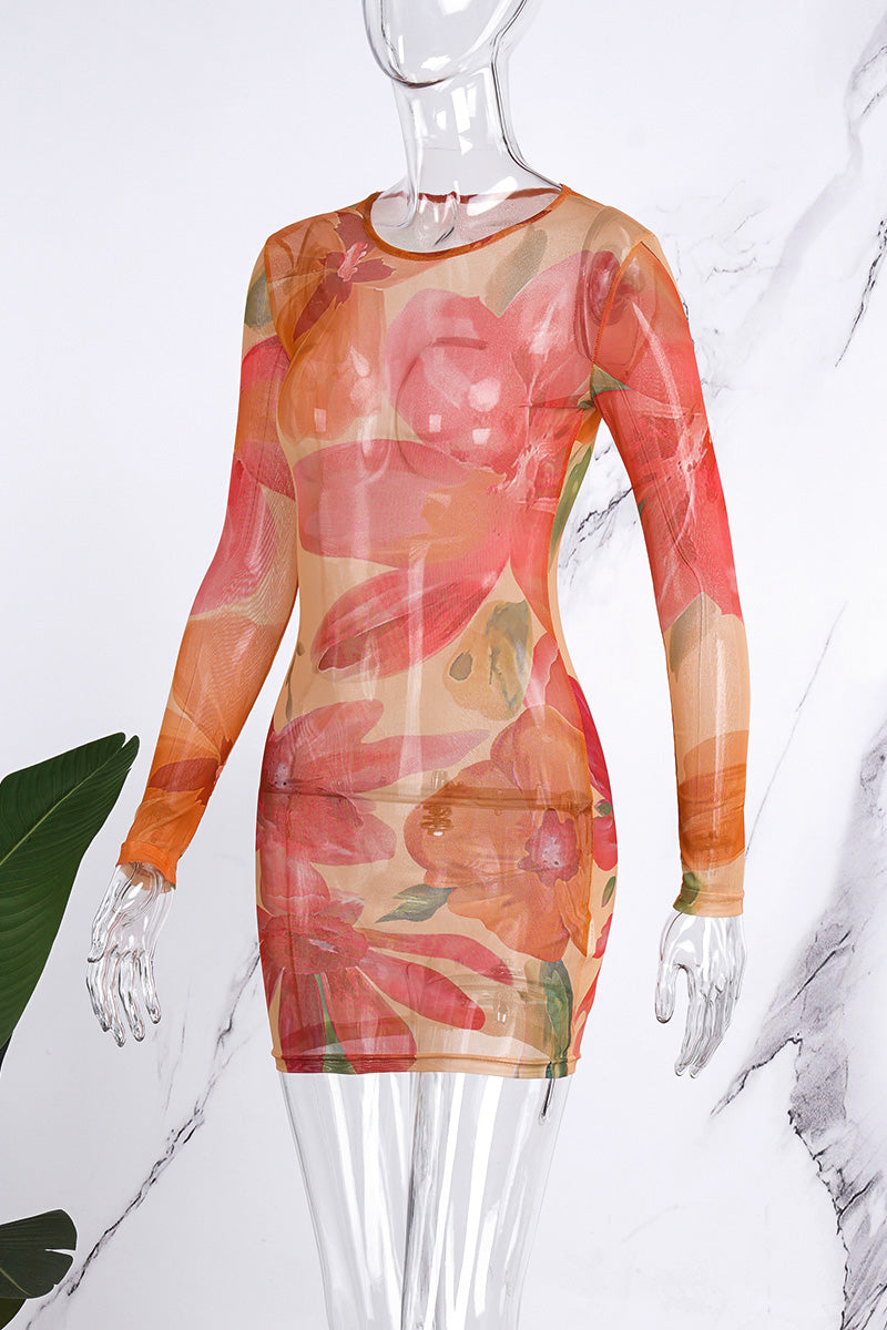 Cinessd Multicolor Casual Print Basic O Neck Long Sleeve Dresses